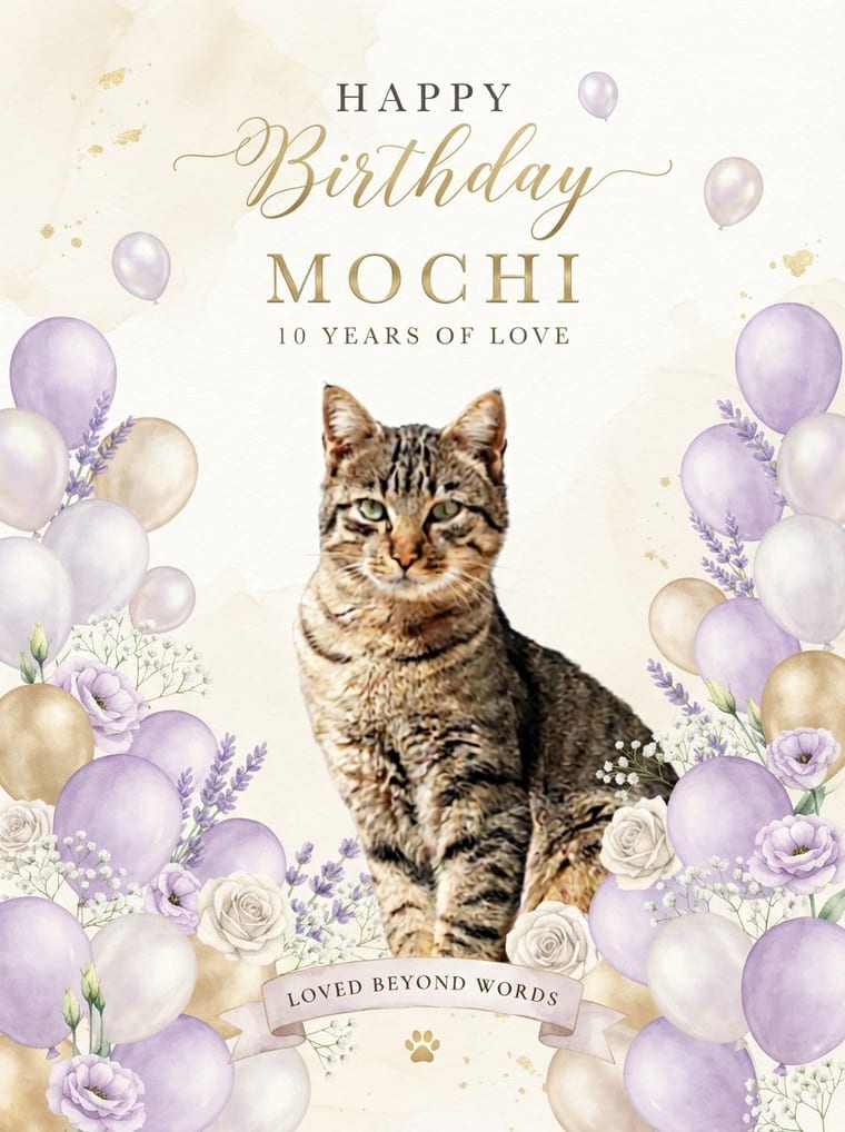 Mochi pet canvas example